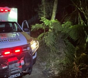 Corpo carbonizado é encontrado em Almirante Tamandaré item-thumbnail