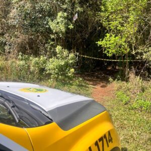 Indivíduo armado entra em confronto com a PM no Sítio Cercado e acaba neutralizado item-thumbnail