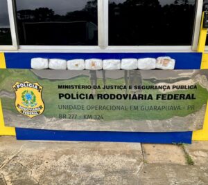 Grávida de 8 meses é detida com 8,5 kg de crack escondidos em veículo na BR-277 item-thumbnail