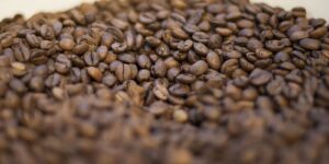 Trump diz que reduzirá tarifas para importação de café item-thumbnail