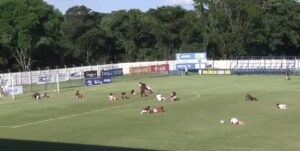 Ataque de abelhas paralisa final entre Flamengo e Internacional no interior do Paraná item-thumbnail