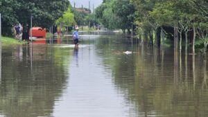 Jardins de chuva entram em vigor em janeiro em Curitiba item-thumbnail