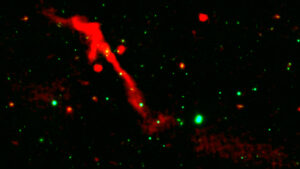 Buraco negro supermassivo monstruoso visto ‘entrando em erupção como um vulcão’ depois de ‘dormir’ por 100 MILHÕES de anos item-thumbnail