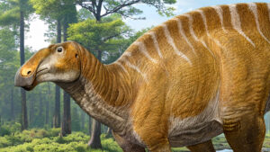 Monstruoso dinossauro ‘vaca com bico de pato’ de 12 metros de altura que vagou pela Terra há 75 milhões de anos em rebanhos encontrados em descoberta chocante item-thumbnail