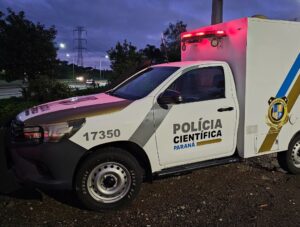 Motorista morre após carro atropelar cavalo e capotar no Contorno Leste item-thumbnail